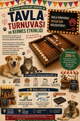 TAVLA TURNUVASI